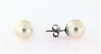 Orecchini Forever Gioielli Donna Orecchini Perla in Argento Perla FGOR00063 - FGOR00063